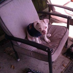 Meet your Posher, Valerie